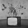 Flowers On Television
