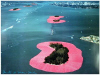 Christo-Surrounded Islands
