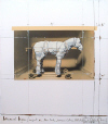 Christo-Wrapped Horse